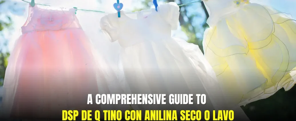 DSP de Q Tino con Anilina: Seco o Lavo? Expert Guide