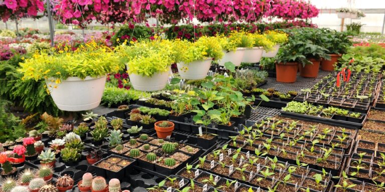 the benefits of plant nurseries webfreen.com