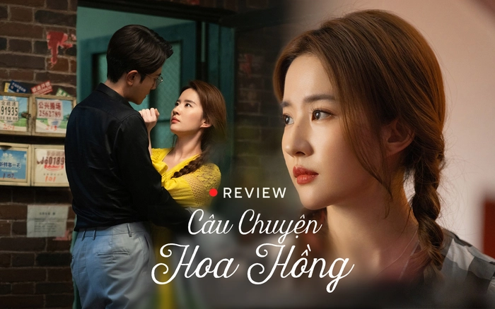 Cau Chuyen Hoa Hong Phimmehd Org: A Mesmerizing Tale of Love and Loss