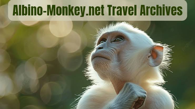 Albino-Monkey.net Travel Archives: Your Gateway to Adventure