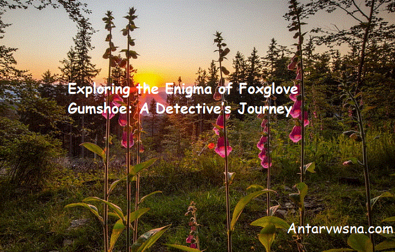 Exploring the Enigma of Foxglove Gumshoe: A Detective’s Journey