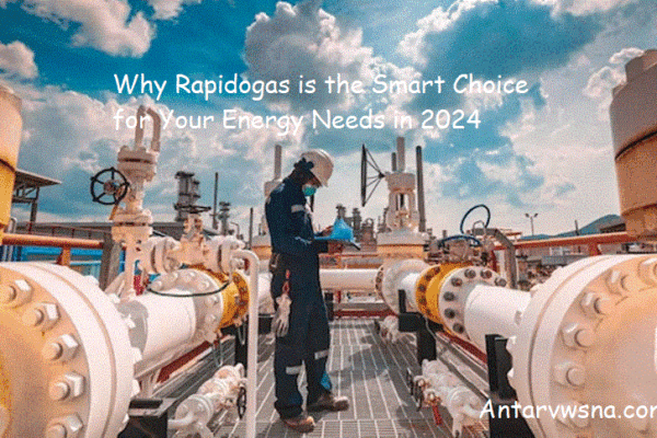 Why Rapidogas is the Smart Choice for Your Energy Needs in 2024