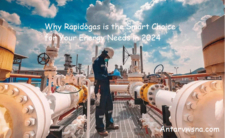 Why Rapidogas is the Smart Choice for Your Energy Needs in 2024