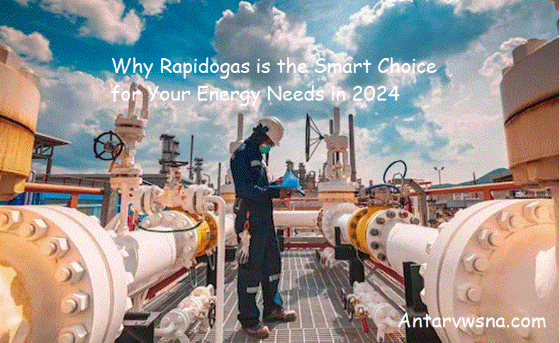 Why Rapidogas is the Smart Choice for Your Energy Needs in 2024